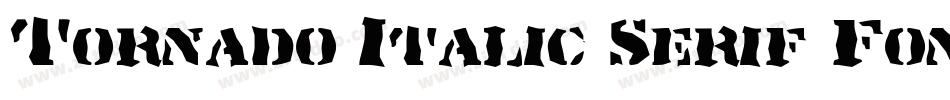 Tornado Italic Serif Font - Demo字体转换